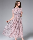 Little flowers Printed Chiffon Maxi Dress